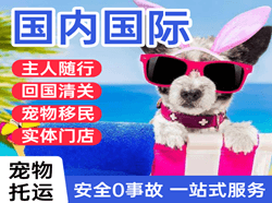 且末玉都机场快递国际宠物托运 【国